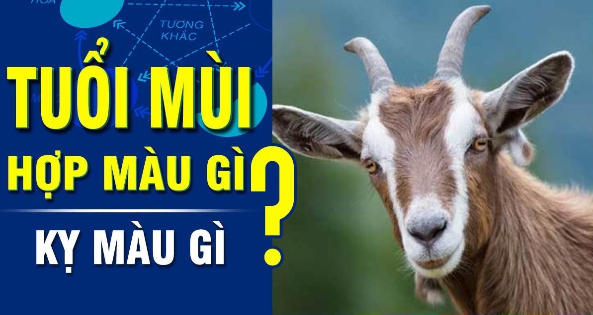 Tuổi Mùi hợp màu nào và kỵ màu nào