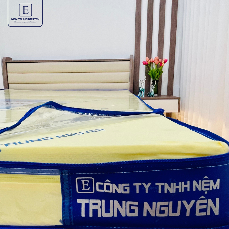 Nệm cao su non Trung Nguyên nguyên tấm